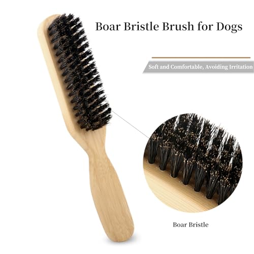 Soft Boar Bristle Dog Brush for Short Haired Dogs - Made of Wood, Gentle Deshedding & Grooming Tool, Ideal Dog Hair Brush ...