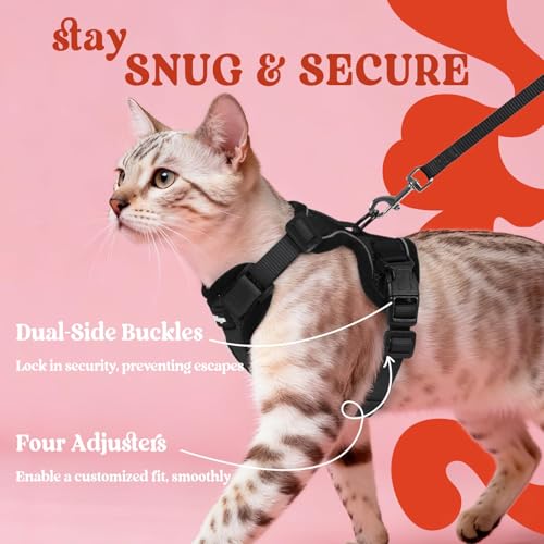 rabbitgoo Cat Harness and Leash for Walking, Escape Proof Soft Adjustable Vest Harnesses for Cats, Easy Control Breathable...