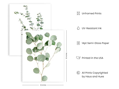 HAUS AND HUES Botanical Plant Wall Art Prints - Set of 4 Plant Decor Prints, Floral Kitchen Pictures, Flower Leaves Wall A...