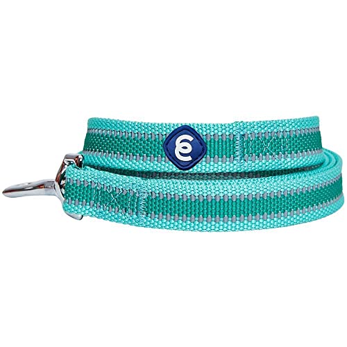 Blueberry Pet Essentials Reflective Back to Basics Matching Dog Harness and Leash Set, Minty Green, Adjustable Harness wit...