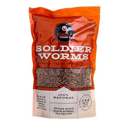 Fluker's Culinary Coop Premium Chicken Treats, Dried Soldier Worms, Packed with Protein and Calcium, 100% Natural Rich Gru...