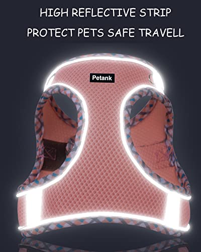Petank Dog Harness for Small Medium Dogs No Pull, Puppy Harness and Leash Set, Step in Dog Harness for Walking, Running, T...