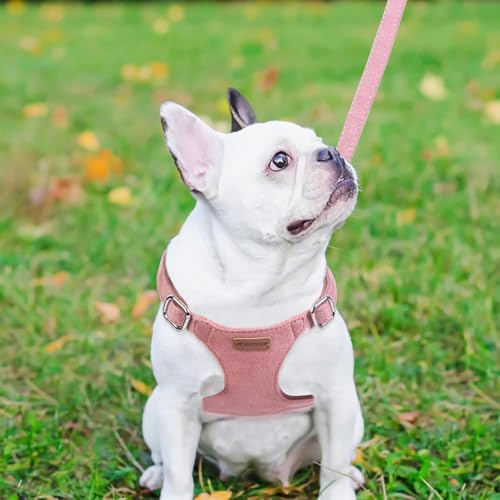 Dog Harness and Leash Set, XXS No Pull Adjustable Puppy Harness with Multifunction Pink Dog Leash and Dog Collar, Soft No ...