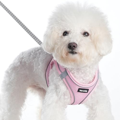 VernAlly Sparkly Dog Harness Small Sized and Leash Set for Small Dogs Cats,Pink XXS Puppy Harness, Step in Soft Dog Reflec...