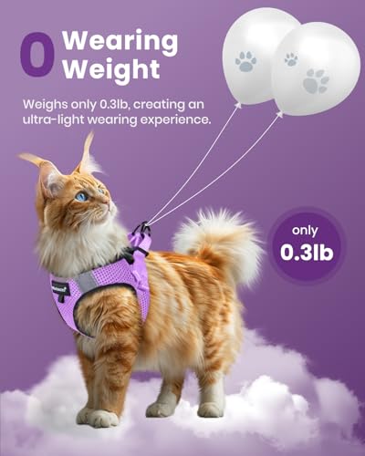 FAYOGOO Cat Harness, Cat Leash and Harness Set for Walking Escape Proof, Harness for Small Cats/Small Dogs, Large Kitten/P...