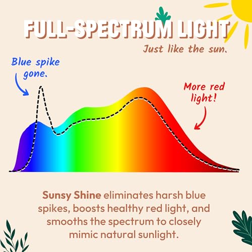 sunsy Shine - Full-Spectrum Flicker-Free A19 Sunlight Bulb for Humans - Boosts Energy, Mood, and Circadian Rhythm for Bett...