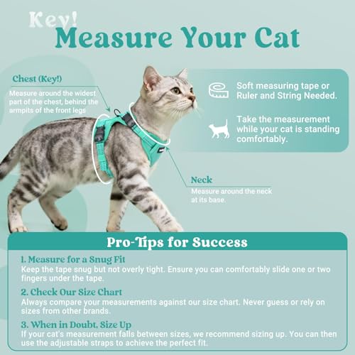 rabbitgoo Cat Harness and Leash, Escape Proof Vest with 3 Adjustable Buckles, Soft Comfortable Kitten Harness, Easy to Wea...