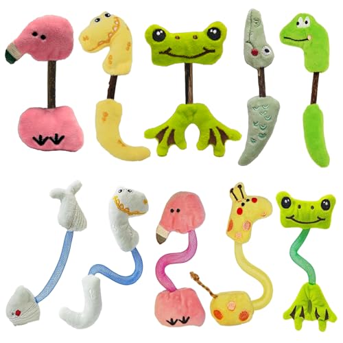 uyiixoxo Interactive Cat Toys Set, Silvervine Chew Sticks and Cat Spring Toy, Indoor Catnip Toys for Exercise and Dental C...
