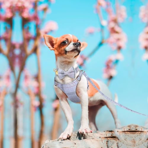 Beirui Cute Extra Small Dog Harness Collar and Leash Set with Bowtie, Soft Adjustable Plaid Puppy Harness for Small Sized ...