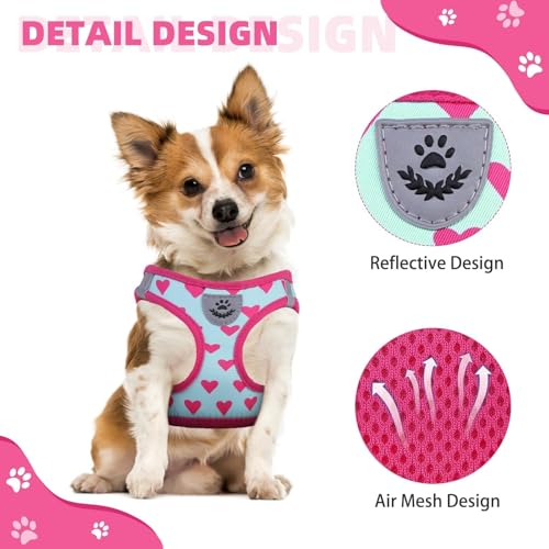 KOOLTAIL Valentines Dog Harness and Leash Set for Small Medium Dogs, Step in No Pull Soft Mesh Dog Harness Padded Pet Ves...