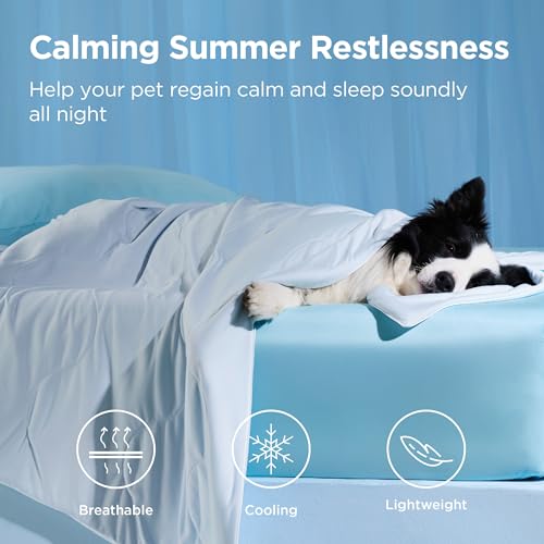 Bedsure Cooling Blanket for Small Dogs with Breathable Air-Core Fill Q-MAX>0.4 - Dog Cooling Mat Soft, Lightweight Pet Cat...