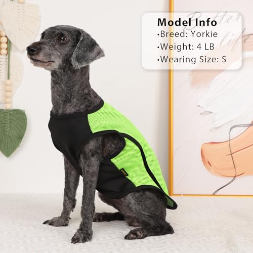 Dog Shirts for Small Dogs,2 Pack Quick Dry Shirts for Dog Vest Boy Girl Summer, Puppy T-Shirt with Reflective Strip,Sun Pr...