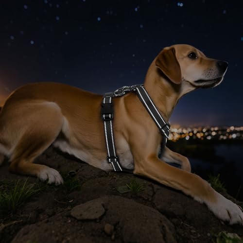 VavoPaw Dog Seat Belt Harness for Car, Dog Car Harness Adjustable Mesh Breathable & Dogs Seatbelt Safety Tether with Elast...
