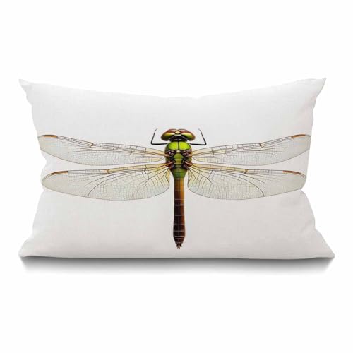 Smooffly Farmhouse Oblong Rectangle Throw Pillow Case, Green Darner Dragonfly Isolated with Clipping Path Pillow Cases Cot...