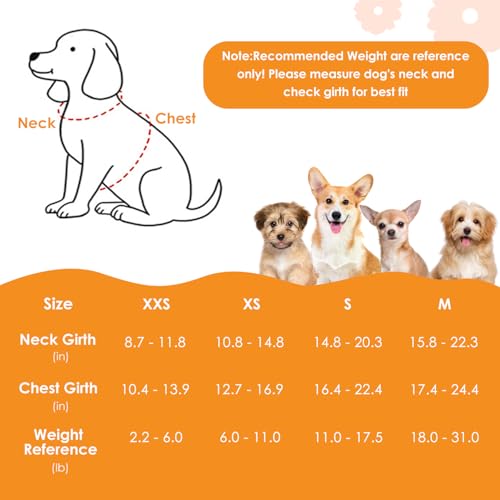 SlowTon Dog Harness Small Sized Dog - Soft XXS Dog Harness and Leash Set No Pull No Chock, Adjustable Lightweight Puppy Ha...