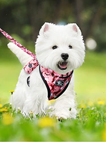 Dog Harness and Leash Set for Small Dogs, Adjustable Reflective No Pull Dog Vest Harness for Puppy with Bow-tie Collar, Le...