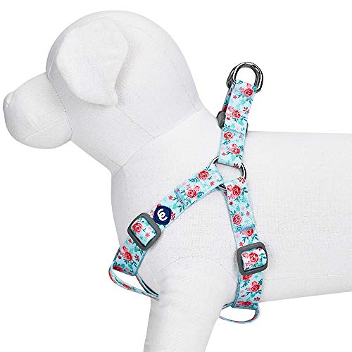 Blueberry Pet Essentials Step-in Spring Scent Inspired Garden Floral Dog Harness in Pastel Blue, Chest Girth 16.5" - 21....