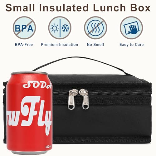 FlowFly Small Insulated Lunch box Portable Soft Bag Mini Cooler Thermal Meal Tote Kit with Handle for Work & School, Black