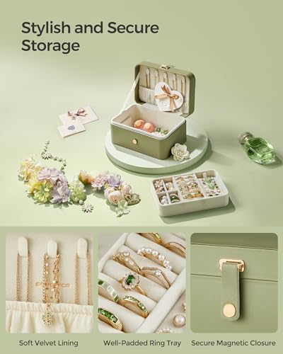 SONGMICS Jewelry Organizer Box, Travel Jewelry Case, 2-Layer Travel Case for Earrings, Necklaces, Bracelets - Portable Jew...