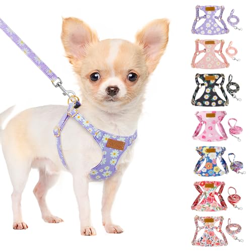 SlowTon Dog Harness Small Sized Dog - Soft XXS Dog Harness and Leash Set No Pull No Chock, Adjustable Lightweight Puppy Ha...
