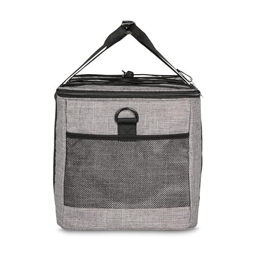 Amazon Basics Soft Insulated Cooler
