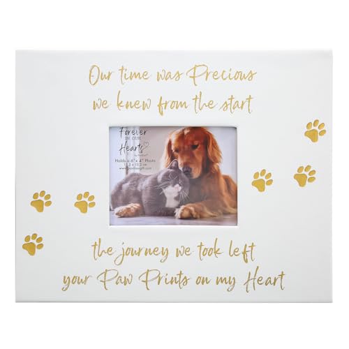 Pavilion Gift Company - Paw Prints On My Heart - Memory Box With 5" x 4" Photo Holder Loss Of Pet Cat Dog Bereavement In M...
