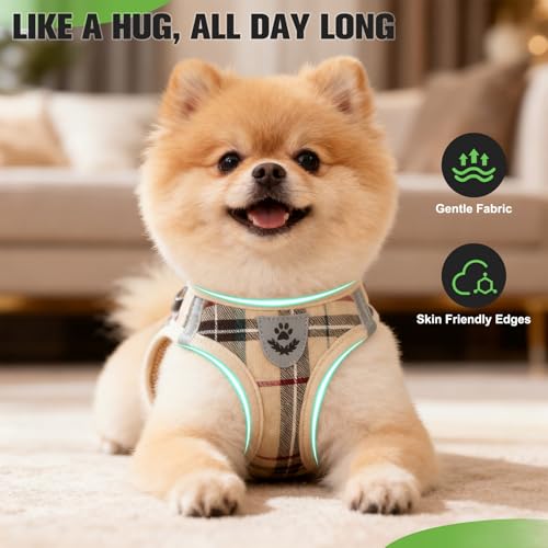 EXPAWLORER Plaid Small Dog Harness and Leash Set with AirTag Holder - No Pull Soft Padded Step in Dog Vest Harness Medium ...