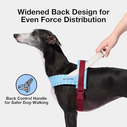 VETRESKA Dog Harness Small Sized Dog, Adjustable No Choke Puppy Harness No Pull, Easy Control Pet Harness Vest for Dogs, C...