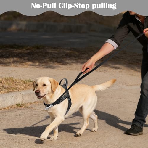 Annchwool No Pull Dog Harness with Front Clip and Easy Control Handle-Belly & Chest Adjustable Dog Harness and Leash Set f...