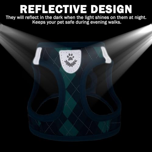 SCENEREAL Small Dog Harness and Leash Collar Set, Step in No Pull Soft Mesh Dog Harnesses for Small Medium Sized Dogs Pupp...