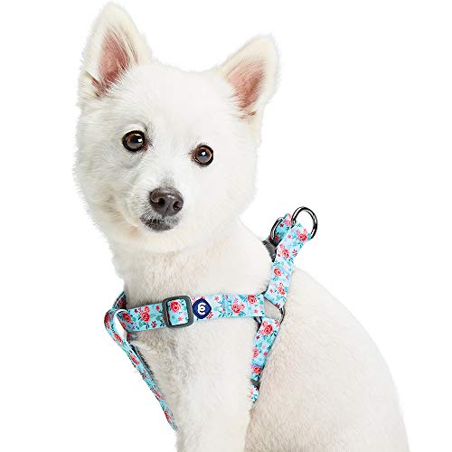 Blueberry Pet Essentials Step-in Spring Scent Inspired Garden Floral Dog Harness in Pastel Blue, Chest Girth 16.5" - 21....