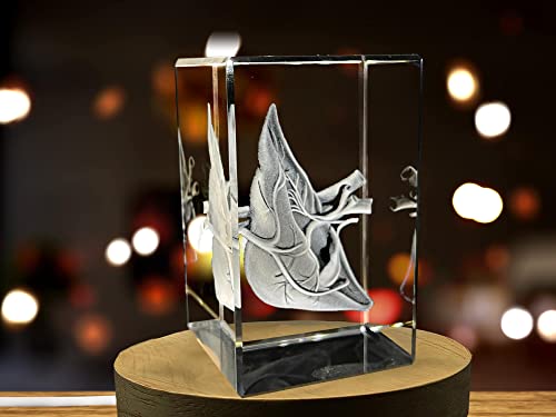 Doctors Gift 3D Engraved Crystal Keepsake/Gift/Decor/ (Small (3 x 2 x 2 in), Liver Art)