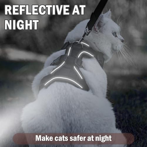 PUPTECK Cat Harness and Leash Set Escape Proof for Walking, Breathable Mash Vest Adjustable Harness for Cats Puppy Small A...