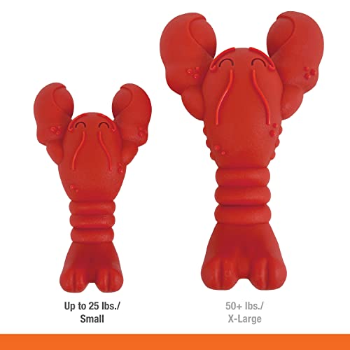 Nylabone Lobster Power Chew Toy for Dogs, Dog Toys for Aggressive Chewers, Filet Mignon Flavor, Small Dogs - Up to 25 Ibs,...