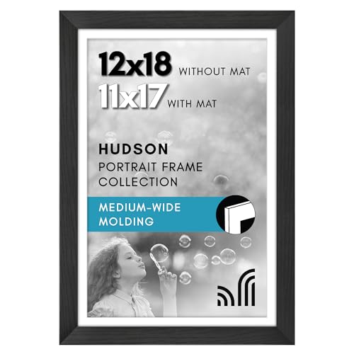 Americanflat 12x18 Poster Frame with Shatter-Resistant Glass - Use as 11x17 Frame with Mat or Display 12x18 Photo Without ...