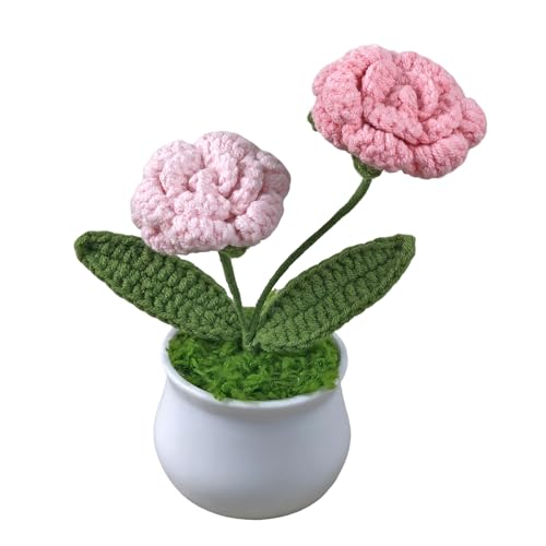 Joekaran Crochet Flowers Cute Little Potted Flower, Birthday Gifts for Women, Mother's Day, Teacher’s Day, Graduation, Ann...
