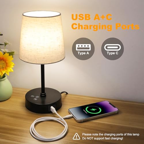 Ascher Small Bedside Table lamp, RGB Color Changing Lamps, 3 Color Temperatures, Dimmable Nightstand Lamp with USB C+A Por...
