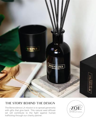 Benevolence LA Reed Diffusers for Home, Lavender & Eucalyptus Relaxing Fragrance | Aromatherapy Reed Diffuser Sticks with ...