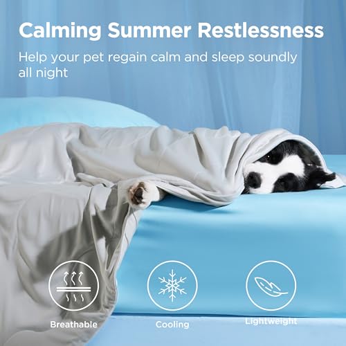 Bedsure Cooling Blanket for Large Dogs with Breathable Air-Core Fill Q-MAX>0.4 - Dog Cooling Mat Soft, Lightweight Pet Cat...