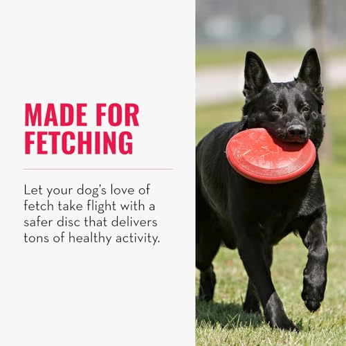 KONG Flyer - Durable Dog Toy for Outdoor Playtime - Natural Rubber Flying Disc, Dog Toy for Fetch - Safer Disc for Healthy...