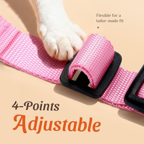 Dooradar Cat Harness and Leash Set, Escape Proof Safe Adjustable Kitten Vest Harnesses for Walking, Easy Control Soft Brea...