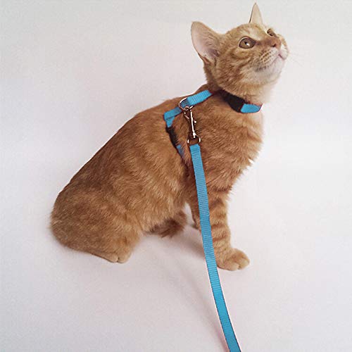 GOZOLA 2 Pack Cat Harness and Leash | Adjustable Halter Harness with Nylon Strap, Safety Rope Leads for Kittens | Orange &...
