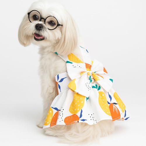 Small Dog Harness Dress Cat Princess Dresses Summer Lemon Clothes for Pet Female Puppy Outfit Cute Bow Tie Leash Set for S...