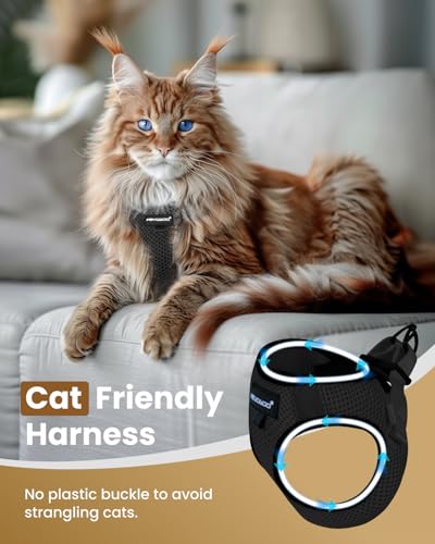 FAYOGOO Cat Harness and Leash Set for Walking Escape Proof, Kitten Adjustable Small Large Cat Lightweight Soft Vest Harnes...