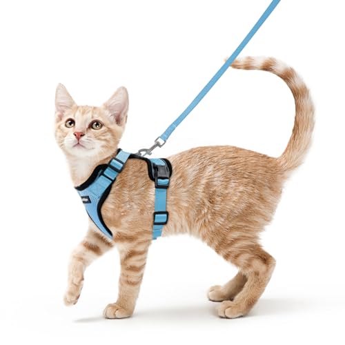 rabbitgoo Cat Harness and Leash for Walking, Escape Proof Soft Adjustable Vest Harnesses for Cats, Easy Control Breathable...
