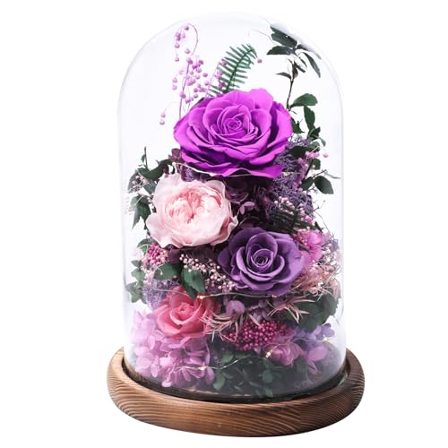 lovenfold Flowers for Delivery Preserved Flowers Rose in Glass Dome,Purple Rose Forever Flowers Birthday Gifts for Women M...