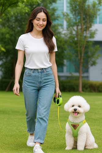 Cat Harness and Retractable Leash Set – Escape-Proof Adjustable Soft Air-Mesh Vest with Reflective No-Choke Design, Heavy-...