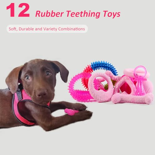 PawsAion Puppy Toys Set - 20 Pack Pink Dog Chew Toys for Teething Small Breeds - Tough Rope Toys for Puppies, Cute Soft Ru...