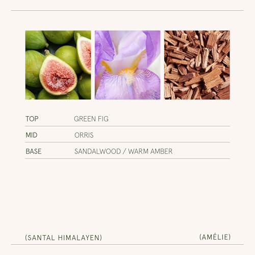 LA JOLIE MUSE Santal Himalayen Candle, Amber Scented Candles Gifts for Women, Natural Soy Candle, Candles for Home Scente...