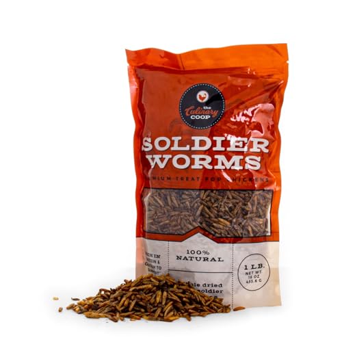 Fluker's Culinary Coop Premium Chicken Treats, Dried Soldier Worms, Packed with Protein and Calcium, 100% Natural Rich Gru...
